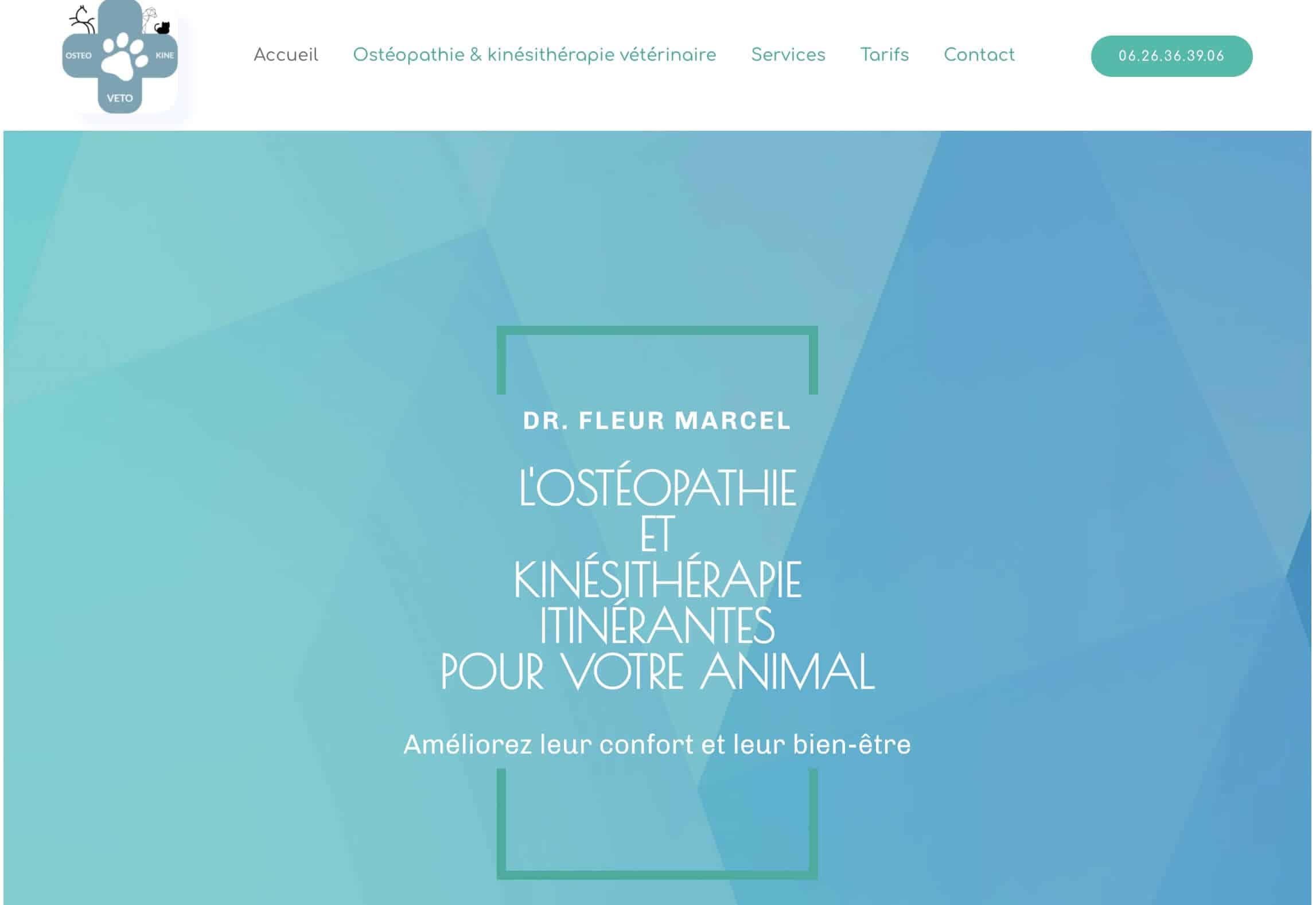 création site internet vétérinaire - page présentation vetokineosteo