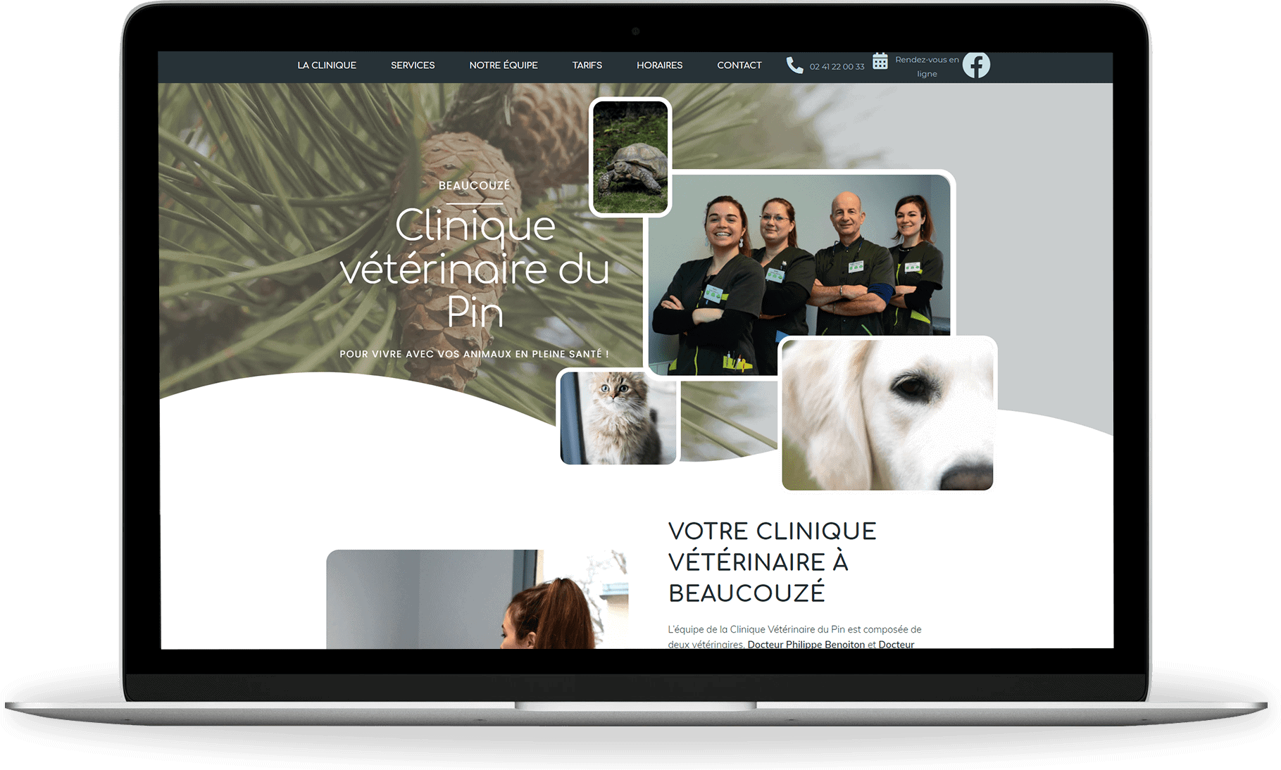 création site internet vétérinaire - clinique vétérinaire du pin